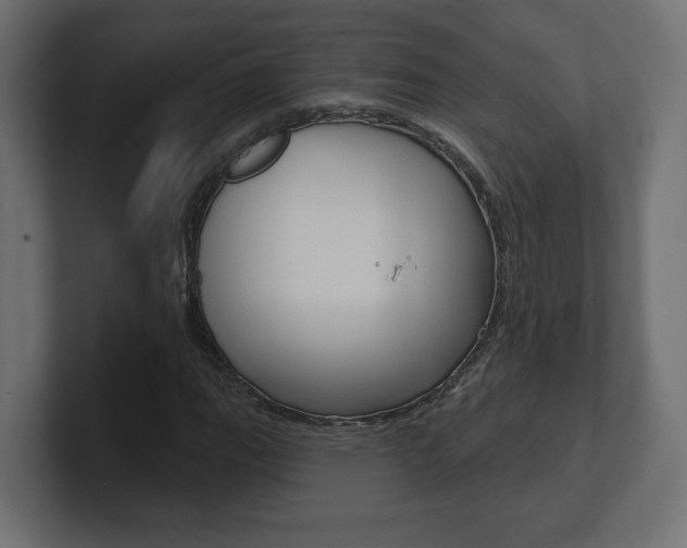 X0000101091111200806261056