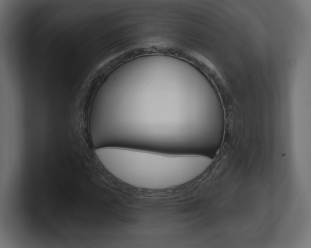 X0000101091112200806261056