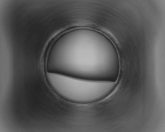 X0000101091114200806261056