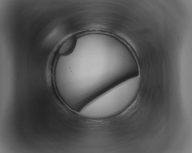 X0000101091115200806261056