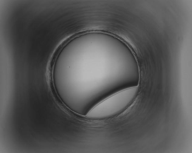 X0000101091119200806261056