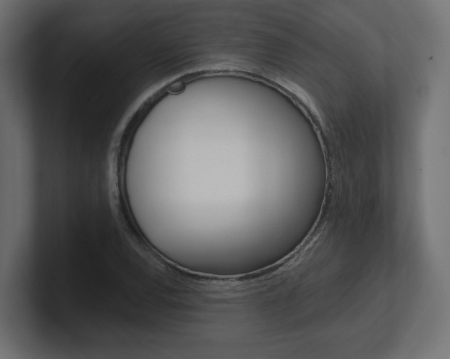 X0000101091120200806261056