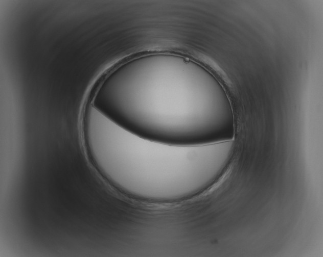 X0000101091122200806261056