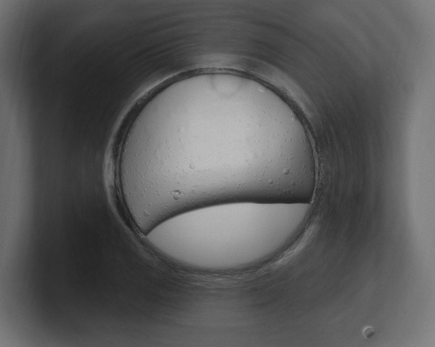 X0000101091125200806261056