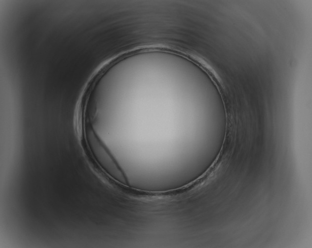 X0000101091127200806261056