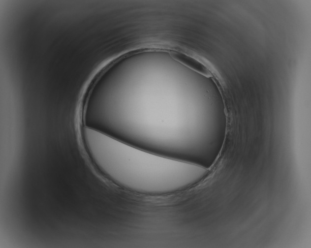 X0000101091128200806261056
