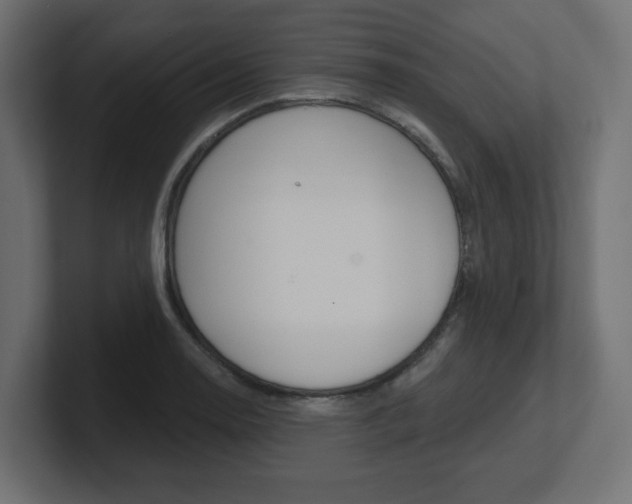 X0000101091130200806261056