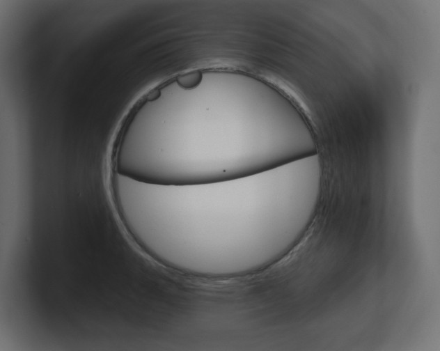 X0000101091135200806261057