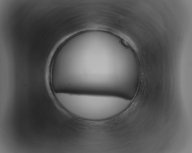 X0000101091136200806261057