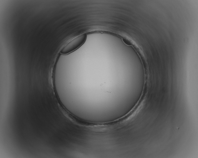 X0000101091137200806261057