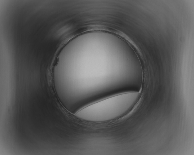 X0000101091145200806261057