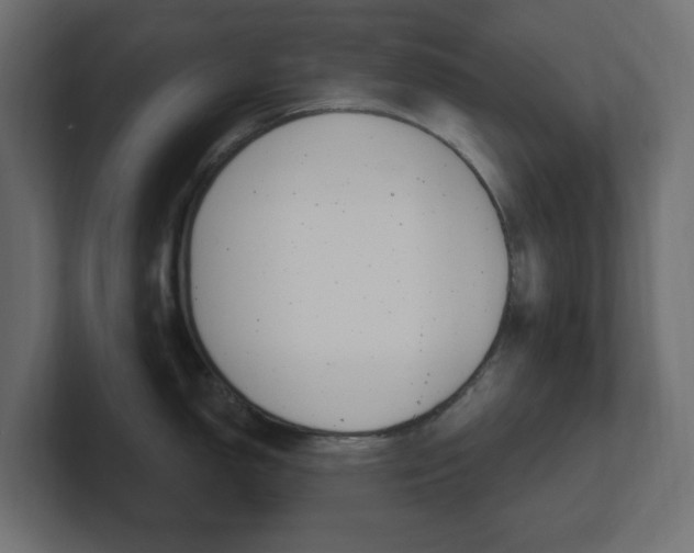 X0000101091150200806261057