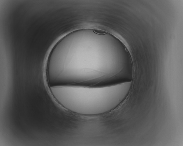 X0000101091152200806261057