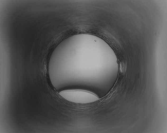 X0000101091155200806261056