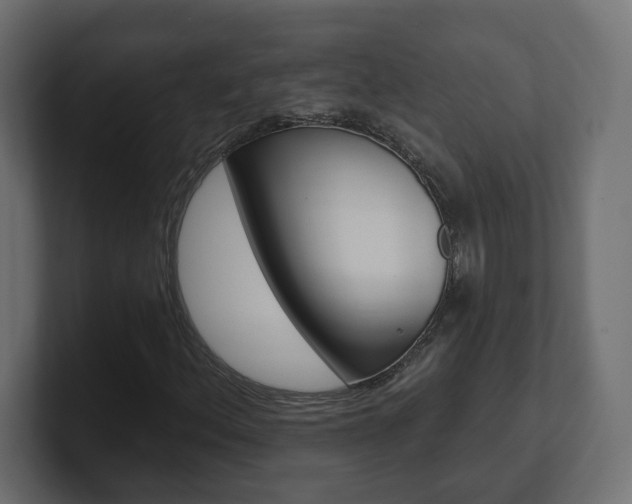 X0000101091156200806261056
