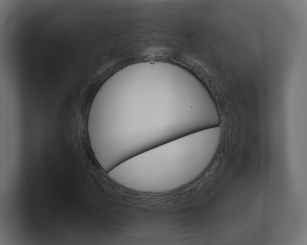 X0000101091158200806261056