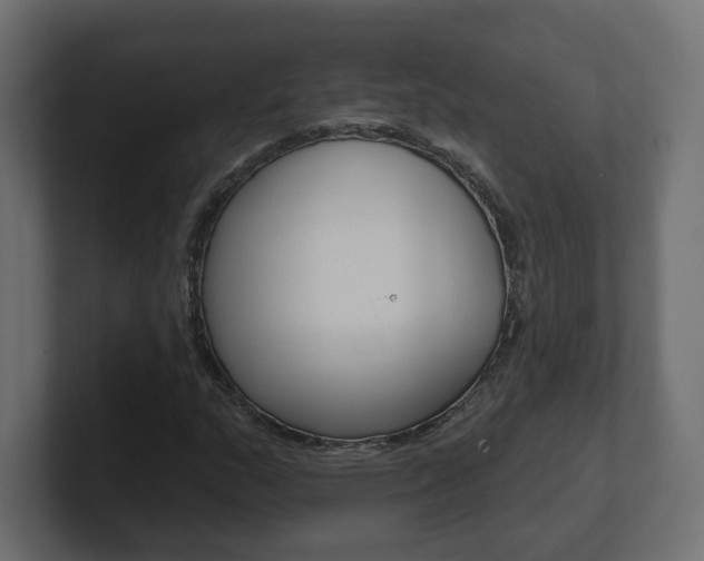 X0000101091159200806261056