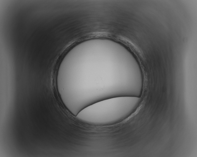 X0000101091162200806261056