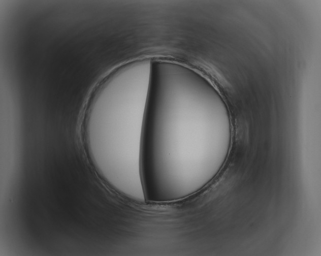 X0000101091164200806261056