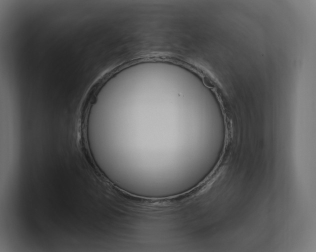 X0000101091165200806261056