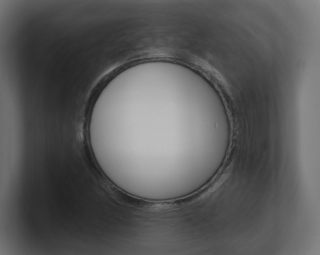 X0000101091166200806261056