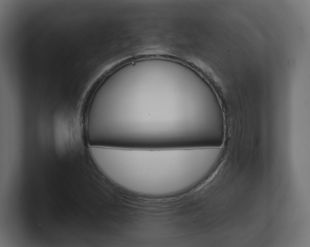 X0000101091167200806261056