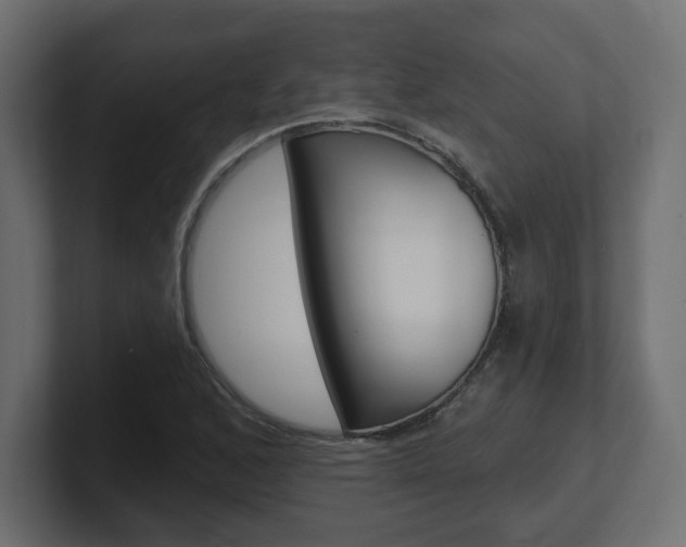 X0000101091168200806261056