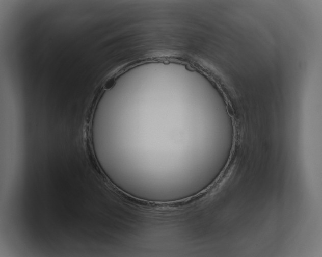 X0000101091169200806261056