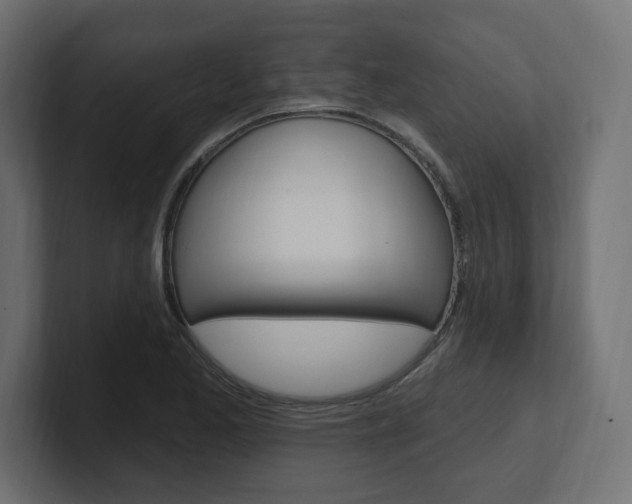 X0000101091173200806261056