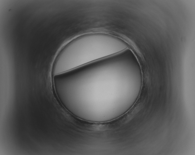 X0000101091176200806261056
