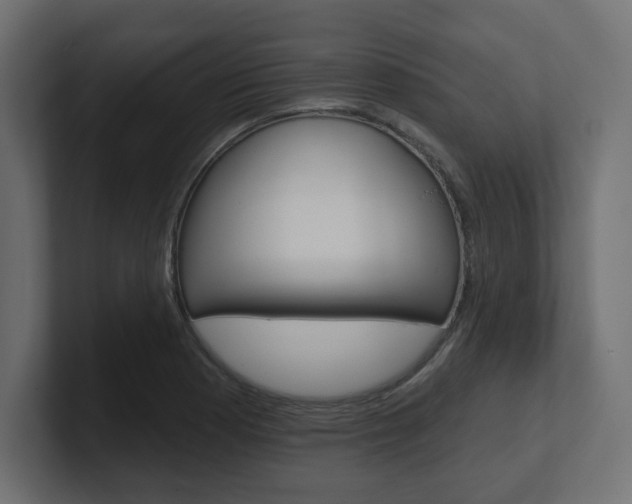 X0000101091177200806261056