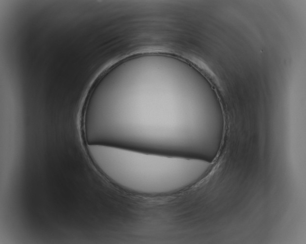 X0000101091181200806261056