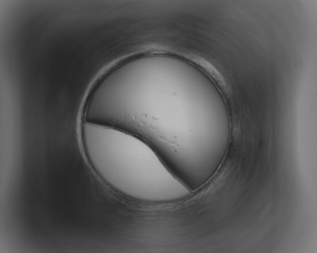 X0000101091183200806261056