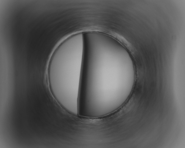 X0000101091184200806261056