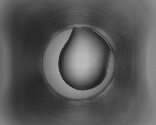 X0000101091185200806261056