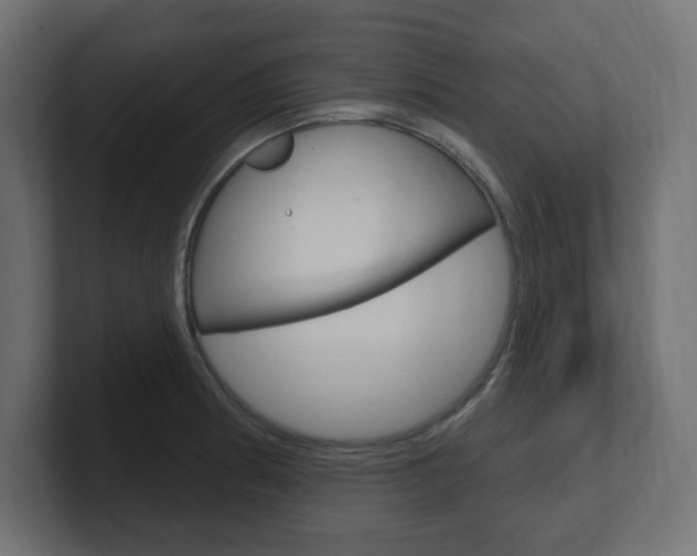 X0000101091186200806261056