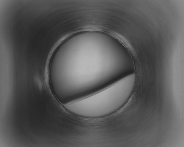 X0000101091188200806261056