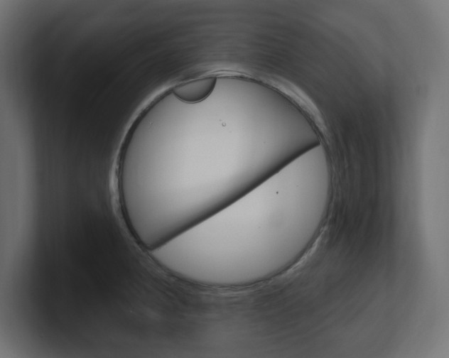 X0000101091190200806261056