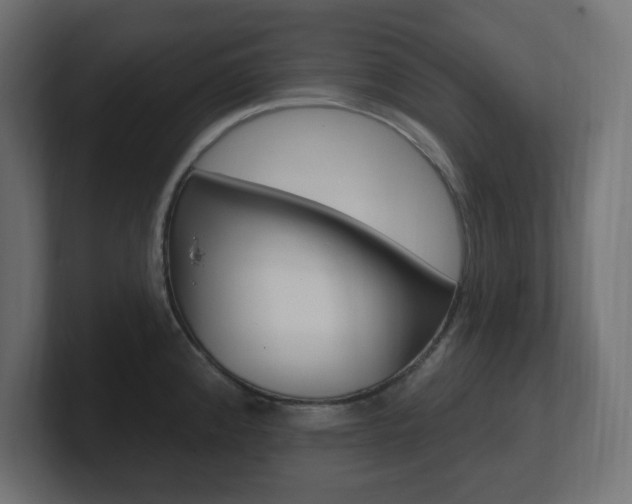 X0000101091192200806261056
