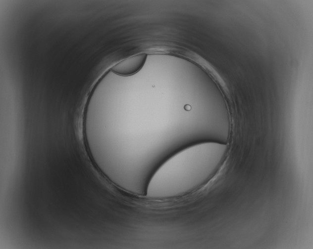 X0000101091194200806261056