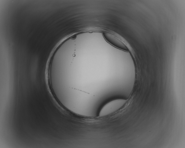 X0000101091195200806261056