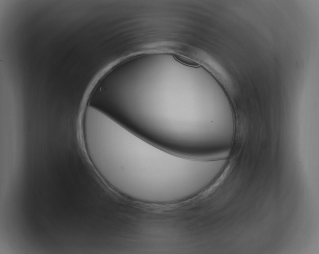 X0000101091196200806261056
