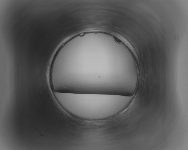 X0000101091197200806261056