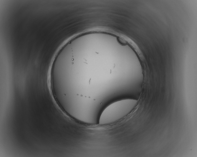 X0000101091199200806261056