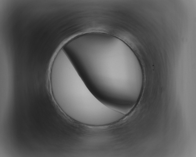 X0000101091200200806261056