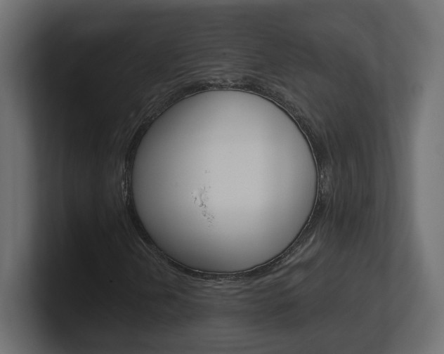 X0000101091202200806261055