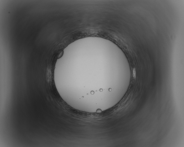 X0000101091203200806261055