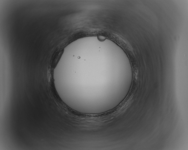 X0000101091204200806261055