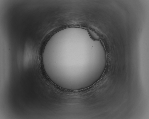X0000101091206200806261055