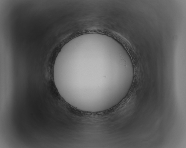 X0000101091207200806261055